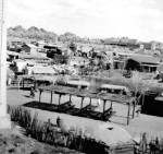 View from Sky Ride